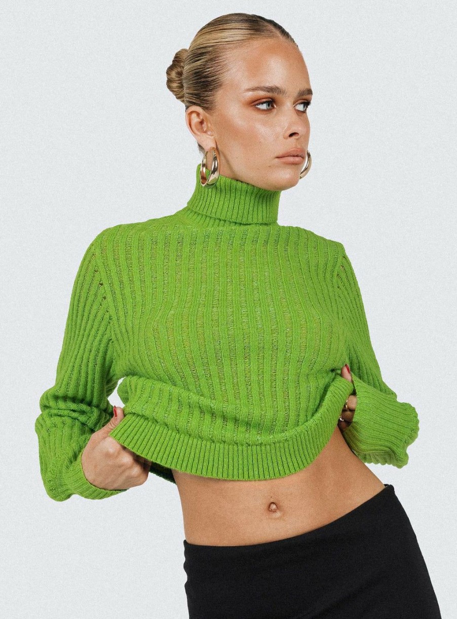 Jumpers * | Princess Polly Lower Impact Mckilah Turtleneck Knit Sweater Green