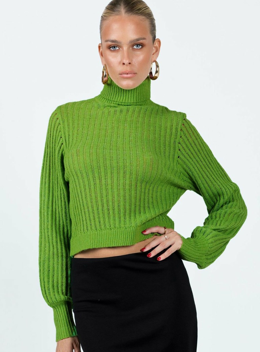 Jumpers * | Princess Polly Lower Impact Mckilah Turtleneck Knit Sweater Green